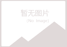 延川县晓绿服务有限公司